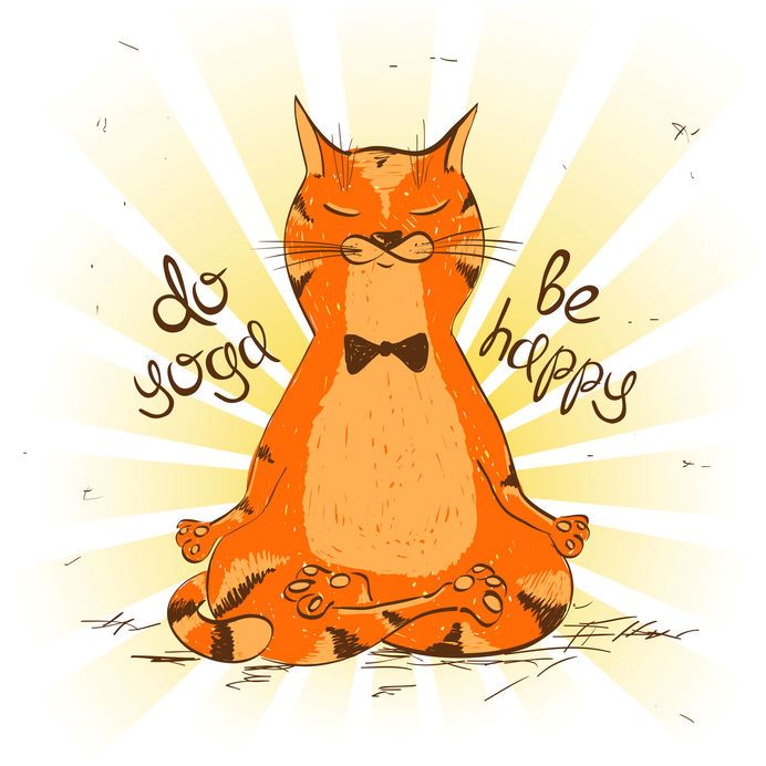 Le bien-être par le Yoga : approved by cats !