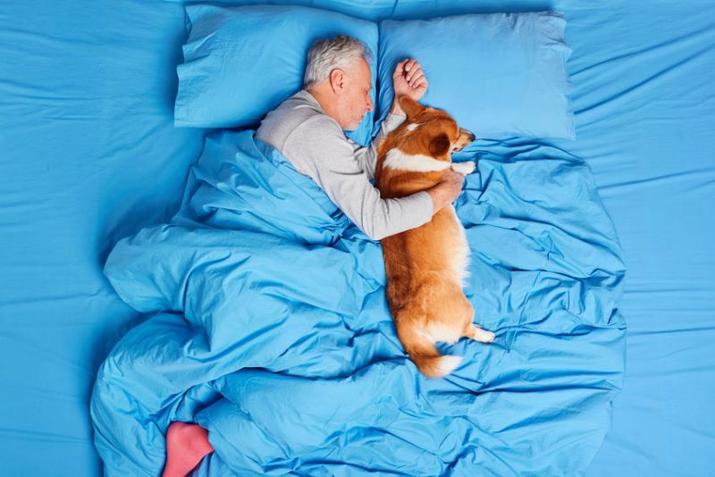  Pour partager son lit, un chien calme et peu encombrant est recommandé !