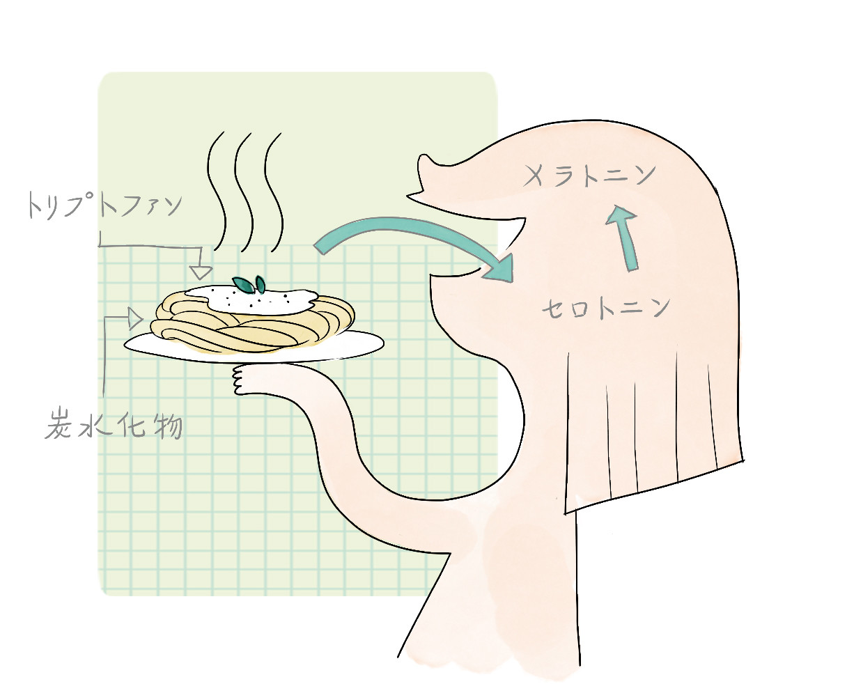 あと ご飯 食べ 寝る た